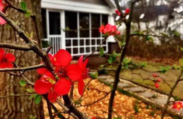 766 Valley Brook Road - 766 Valley Brook Road, Scottdale, GA 30033