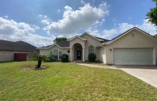 4112 Blackhawk St - 4112 Blackhawk Street, Edinburg, TX 78539