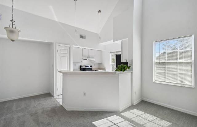 9706 LAKE CHASE ISLAND WAY Gallery 3