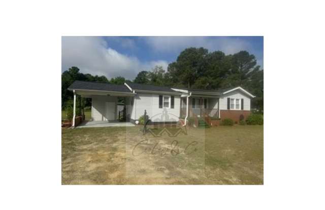 10150 Minnie Hall Road - 10150 Minnie Hall Road, Sampson County, NC 28385