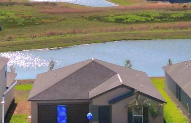 9927 BRANCHING SHIP TERRACE - 9927 Branching Ship Trace, Pasco County, FL 33545