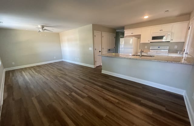 2048 Rice Street - 2048 Rice Street, Springfield, TN 37172