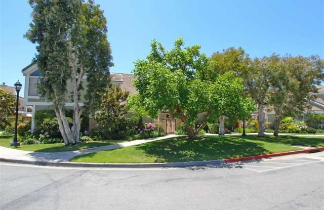 3526 Bravata Drive Gallery 2
