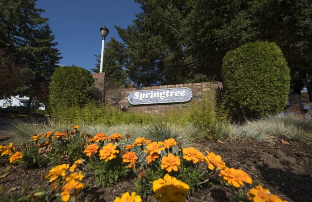4308 North Sunset boulevard V3 - V3 - 4308 NE Sunset Blvd, Renton, WA 98059