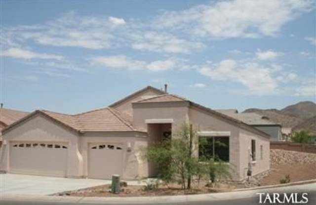 5320 W Christmas Cholla Street Gallery 1