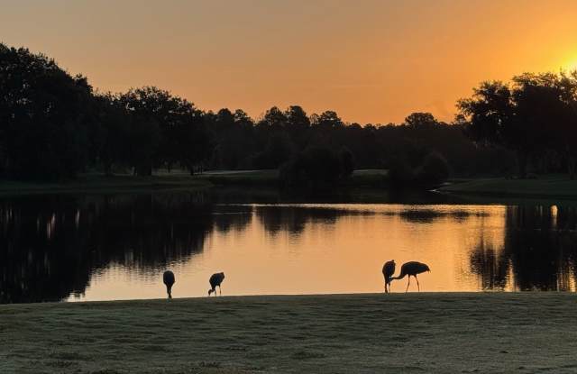 Lake Diamond Golf and County Club Pool Home W/ Beautiful Lakefront View! ***Priced to Rent*** photos photos Lake Diamond Golf and County Club Pool Home W/ Beautiful Lakefront View! ***Priced to Rent*** photos photos