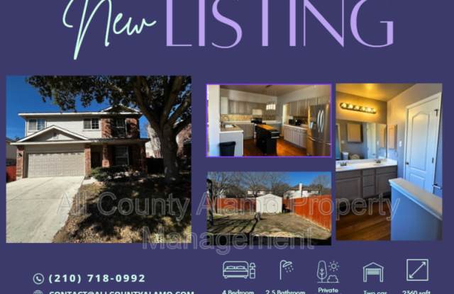 312 Silver Wing photos photos