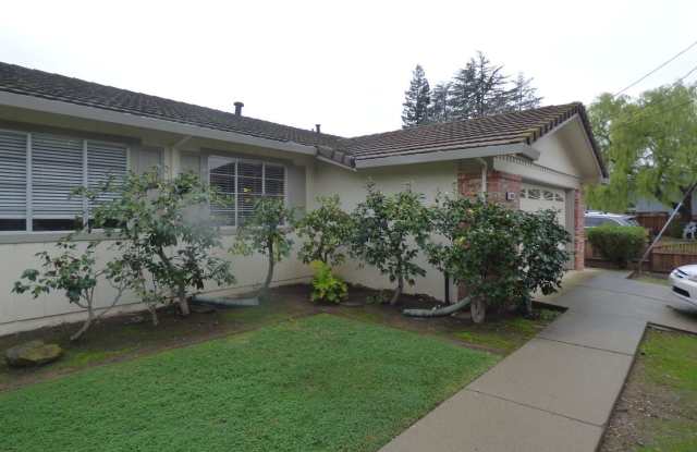 3163 Cafeto Drive - 3163 Cafeto Drive, Walnut Creek, CA 94598