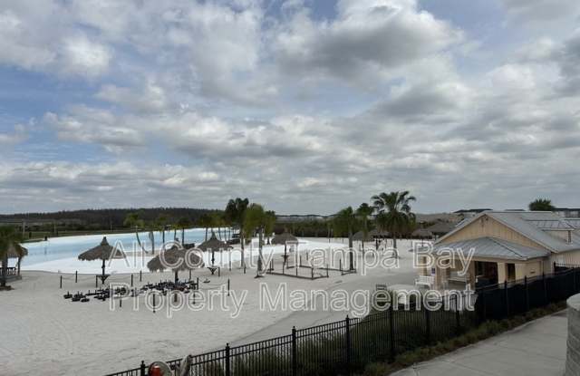 32047 Blue Passing Loop - 32047 Blue Passing Loop, Wesley Chapel, FL 33545