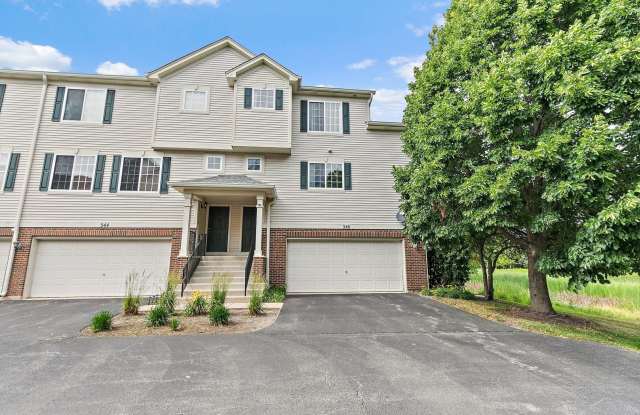 346 Evergreen Circle unit: 346 - 346 Evergreen Circle, Gilberts, IL 60136