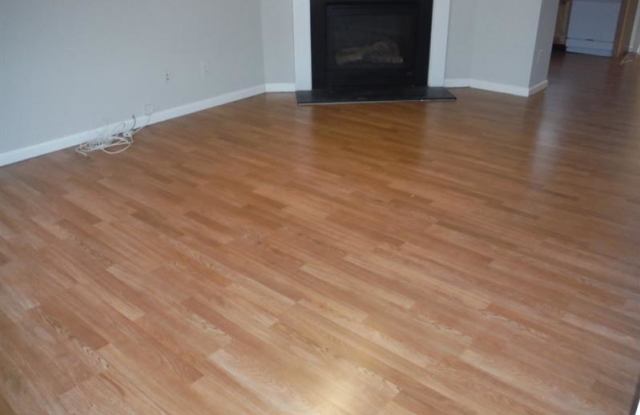 370 SPRING WALK Trace Gallery 3