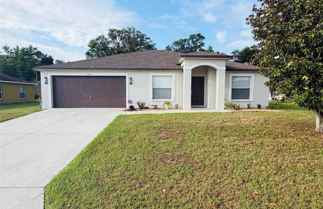 1542 SADDLEHORN DRIVE photos photos