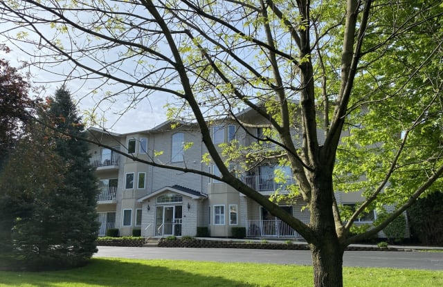 927 Elderberry Circle - 927 Elderberry Circle, Naperville, IL 60563