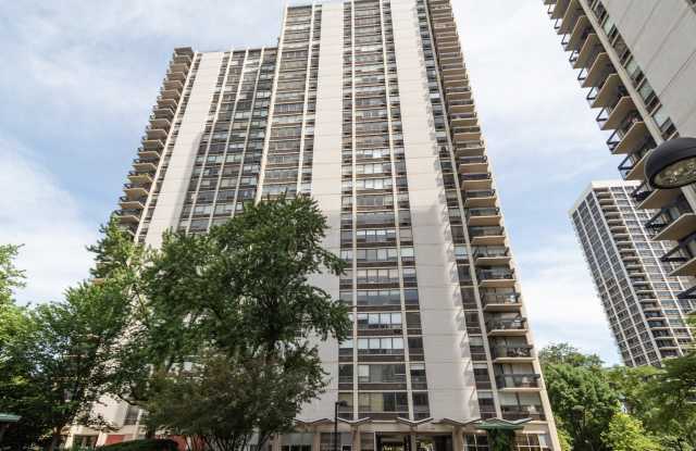 1360 N Sandburg Terrace - 1360 North Sandburg Terrace, Chicago, IL 60610