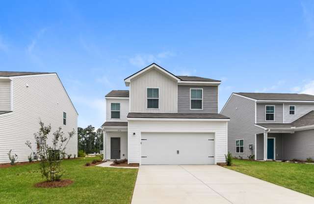 256 Parkwood Vista Way - 256 Parkwood Vista Way, Berkeley County, SC 29461