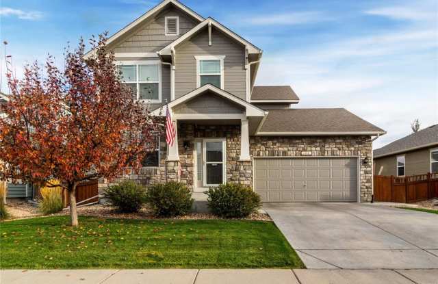 184 Bristlecone Street - 184 Bristlecone Street, Brighton, CO 80601