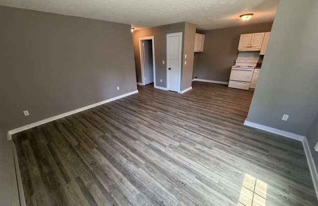 905 Blue Ridge Drive - B Gallery 3
