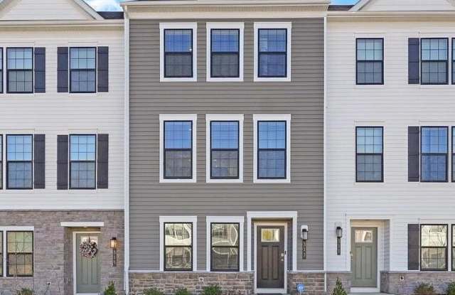 313 SOFT RUSH Lane photos photos