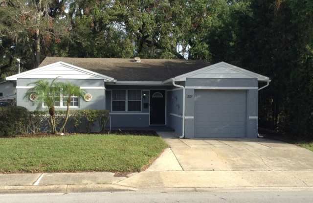 209 West Princeton Street - 209 Princeton Street, Orlando, FL 32804