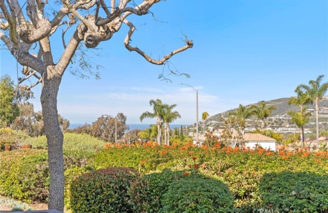 24041 Vista Corona - 24041 Vista Corona, Dana Point, CA 92629