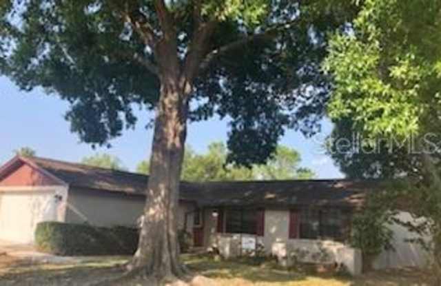 16527 SILVERHILL DRIVE - 16527 Silverhill Drive, Northdale, FL 33624