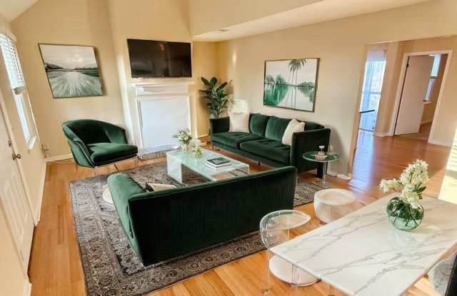 3 Bed 2 Bath with Amenities in Hermitage for $1650/mo! photos photos