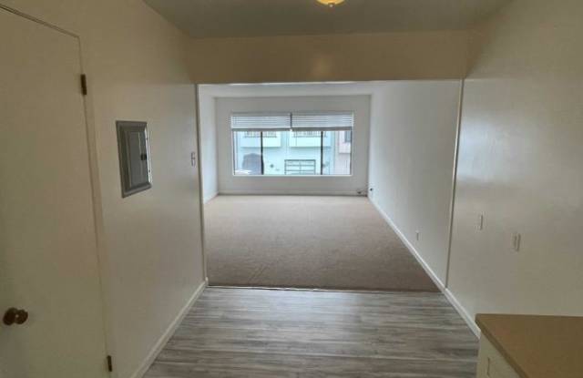 125 Russia Avenue #1 Gallery 3