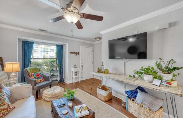 Available December 8th. Great 2 BR/1.5 BA End Unit Townhome in the Heart of Mt Pleasant! Gallery 4