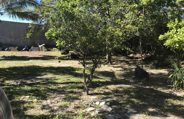 Large 3-2 house with a back yard Gallery 4