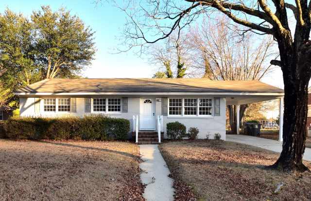 205 S. Mayo Street - 205 South Mayo Street, Rocky Mount, NC 27804