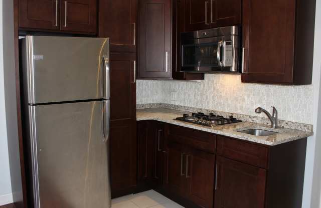 256 Lafayette Avenue - 256 Lafayette Avenue, Brooklyn, NY 11238