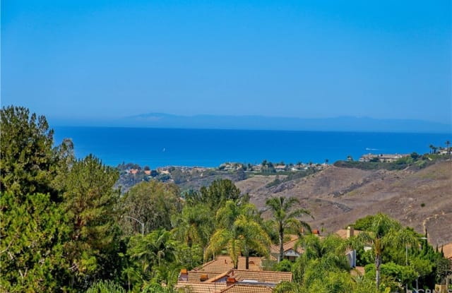 1058 Calle Del Cerro - 1058 Calle Del Cerro, San Clemente, CA 92672