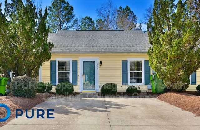 323 Twin Eagles Dr - 323 Twin Eagles Drive, Richland County, SC 29203