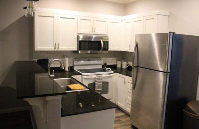 Spacious 2/2 Condo Minutes from Campus. Fully Furnished!! photos photos