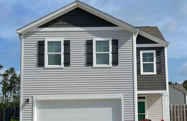 Welcome to The Preserve At Morris Landing! photos photos