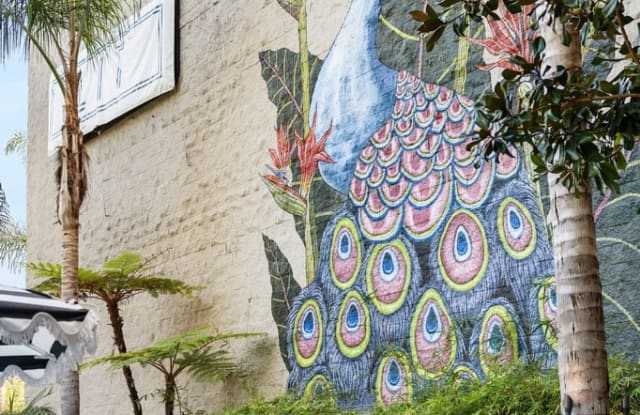 Vera Cortez Hill Gallery 4