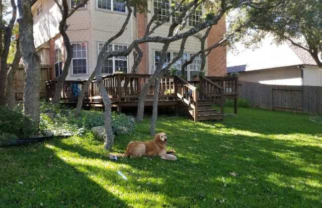 9216 Rustlers Creek Dr - 9216 Rustlers Creek Drive, San Antonio, TX 78230