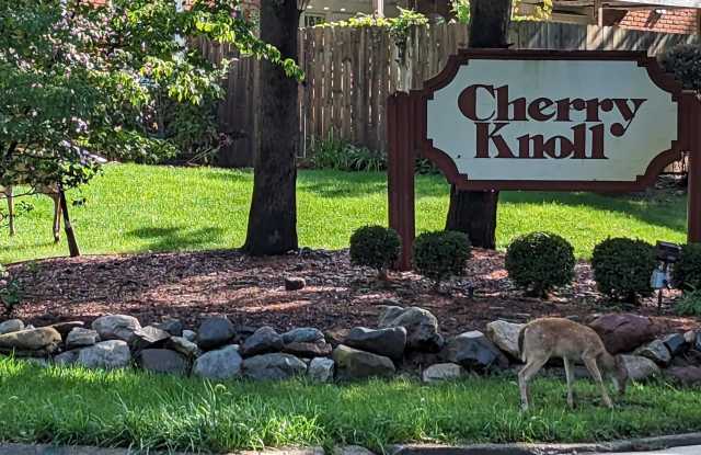 719 Whitcomb Street Apt. D photos photos