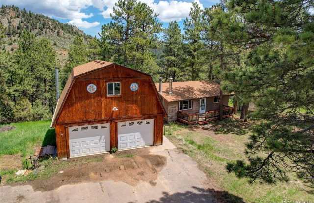 12 minutes from downtown Bailey on a large wooded, private lot - 2027 Roland Drive, Park County, CO 80421