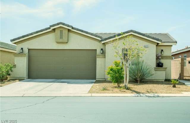 8223 Buffalo Ranch Avenue photos photos