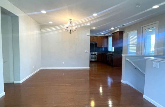 48970 Lady Fern Common Gallery 4