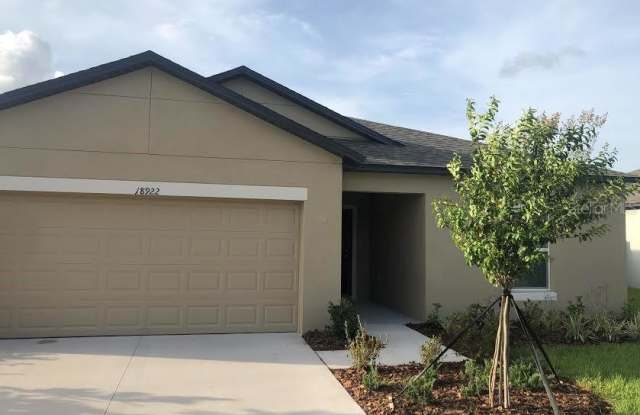 18922 ALFARO LOOP - 18922 Alfaro Loop, Pasco County, FL 34610