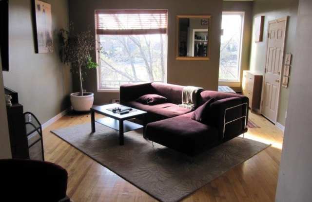charming 1 bed 1 bath in the heart of saint paul! photos photos