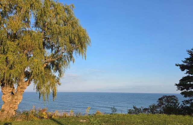 Lake Front 3 Bed 2.5 Bath Rental by GOTL! Gallery 4