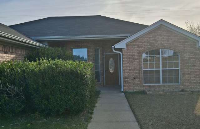 New Carpet  Paint photos photos