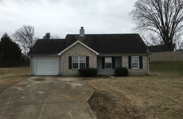 1217 Akins Ridge Drive Gallery 1