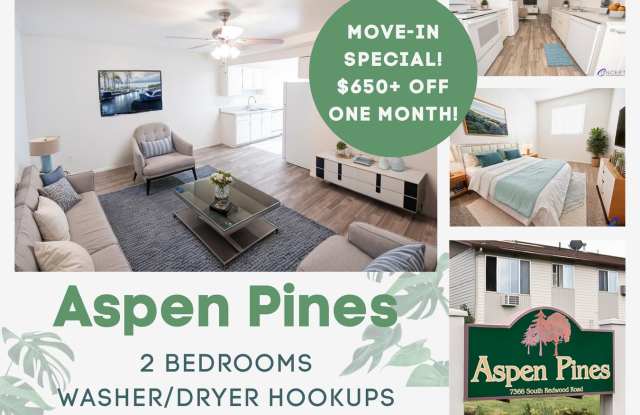 Aspen Pines Gallery 3