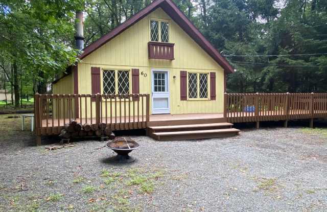 Beautiful Chalet in Amenity Filled Community - 2 bedrooms plus a large loft! - 60 Buckhill Road, Indian Mountain Lake, PA 18210