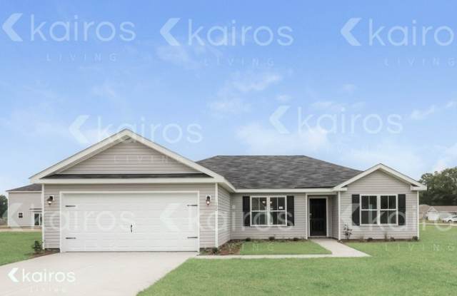 100 Scots Pine Ct - 100 Scots Pine Ct, Effingham County, GA 31329