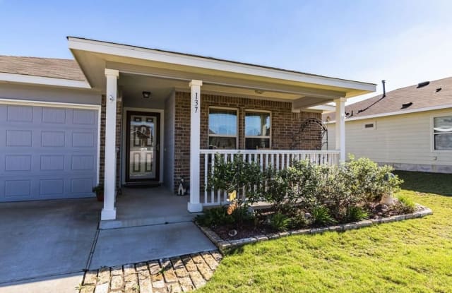 137 Westminster - 137 Westminster Dr, Kyle, TX 78640
